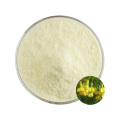 High quality organic quercetin Sophora japonica extract Sophora japonica extract powdery